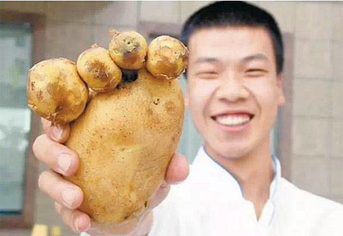 熊掌土豆，大补啊！