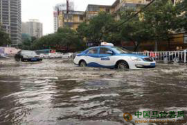 甘肃兰州迎来今年最强降雨，车如船行