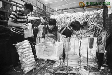 南京：农副物流中心保今冬蔬菜供应 ()