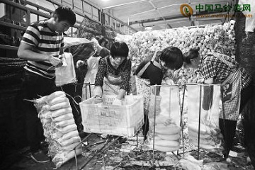 南京：农副物流中心保今冬蔬菜供应 ()