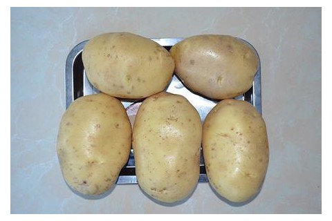 出售马铃薯种子菜土豆