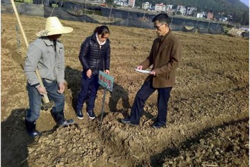 福建明溪开展马铃薯种植区域试验 ()