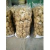 大量供应滕州荷兰土豆
