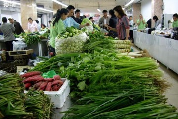 合肥市上周蔬菜价格明显回落 ()