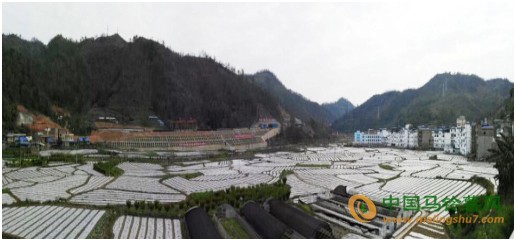 未标题-2