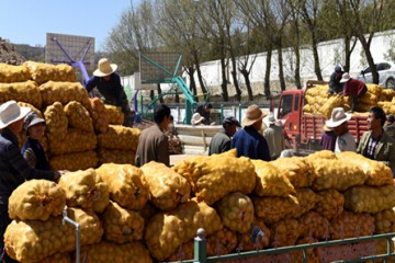 兰州榆中县：南种北繁”种薯繁育基地建成 ()