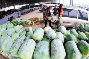 长沙海吉星市场：蔬菜年交易量居全国第二 ()