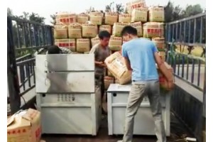 滕州丰荣农业大量供应荷兰十五土豆