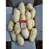 出售基地荷兰十五土豆