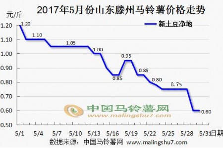 新土豆进军市场 行情不及预期 ()