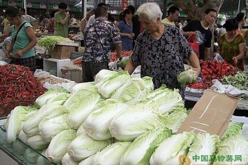 降雨影响 广州菜价涨跌互现 ()