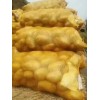 本人大量供应冀张薯，荷兰十五，荷兰十四，