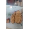 土豆荷兰十五