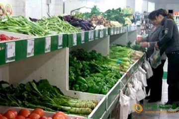 山东烟台：蔬菜上市量增加 价格小幅回落 ()