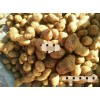 出售库内荷兰15土豆！30万斤