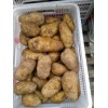 出售库内荷兰15土豆！30万斤