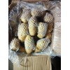 大量供应荷兰十五冷库薯