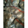 大量供应荷兰十五冷库薯