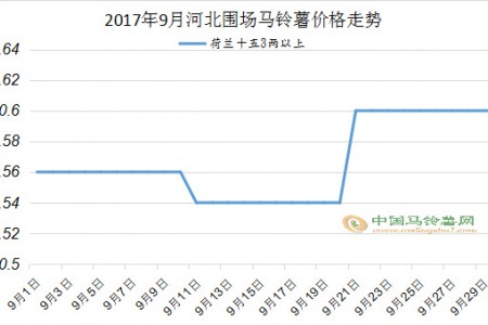 行情以稳为主，8月又当如何 ()