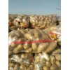 窖存土豆大量出13633235861
