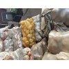 本人有700吨荷兰15