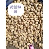 出售黑龙江土豆