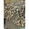 大量出售荷兰十五   荷兰十四  226