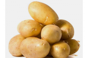 甘肃土豆