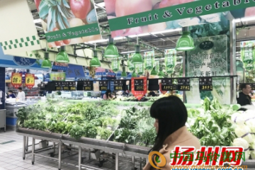 扬州：蔬菜零售价格全面跳水 ()