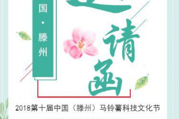 滕州马铃薯科技文化节进入倒计时 ()