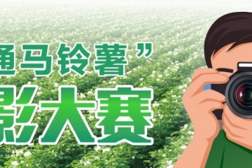 “昭通马铃薯”摄影大赛面向全国征集摄影作品，最高奖励20000元！ ()