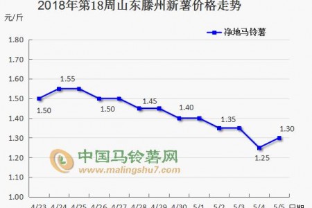 新薯大量上市 薯市能否逆袭？ ()