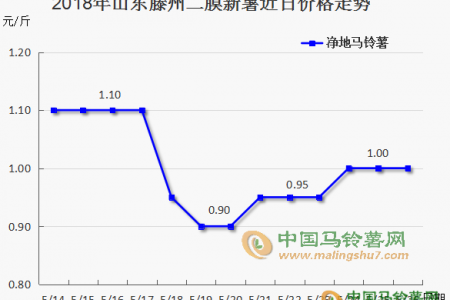 露天薯陆续入市  6月薯市能否安稳？ ()