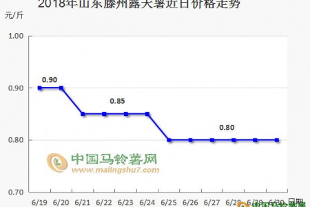 价格跳水后，后期能保持平稳吗 ()