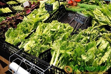北京多种蔬菜降价 ()