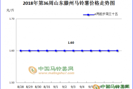 新薯市场为何“低价高销” ()