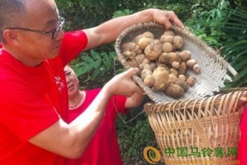 恩施：给土豆插上互联网翅膀 ()