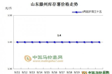 揭秘“产区新薯为何大批量入库” ()