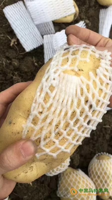 微信图片_20181007212357
