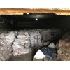 甘肃定西陇薯10号