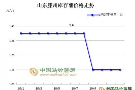 【10.13周评】滕州库存薯登上市场舞台 ()