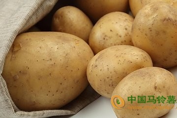 张家口：多种蔬菜价格回落 ()