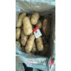 大量供应荷兰十五优质冷库土豆