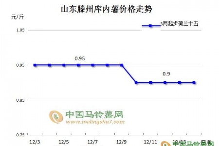 薯市低迷，后市是否可期？ ()