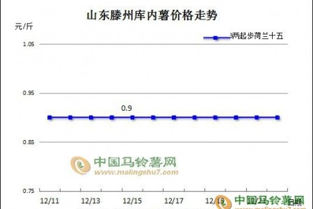 走货加快，山东库存薯是否等来黎明 ()