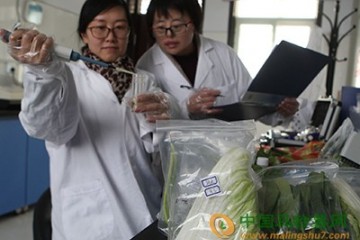 北京：严把蔬菜质量关 ()