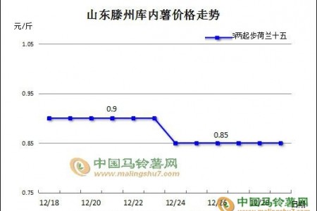 市场好货难求 薯价涨跌不一 ()