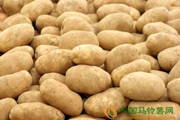 青海：二十余万亩马铃薯创5亿产值 ()