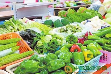 大连：菜价持续回落 ()