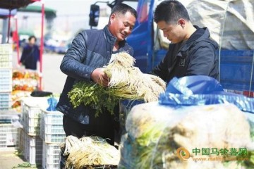 芜湖：节后菜价高位运行 ()